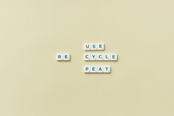 Comment orchestrer une visite éducative mémorable au musée pour votre classe ?